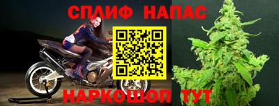тгк Камышлов