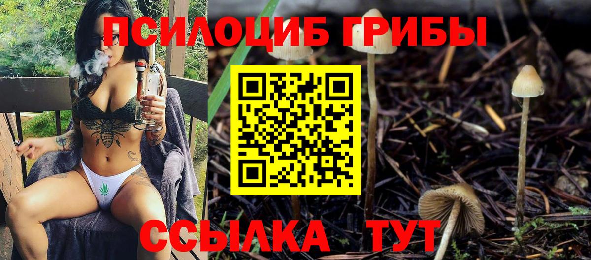 Псилоцибиновые грибы Psilocybine cubensis Бирск