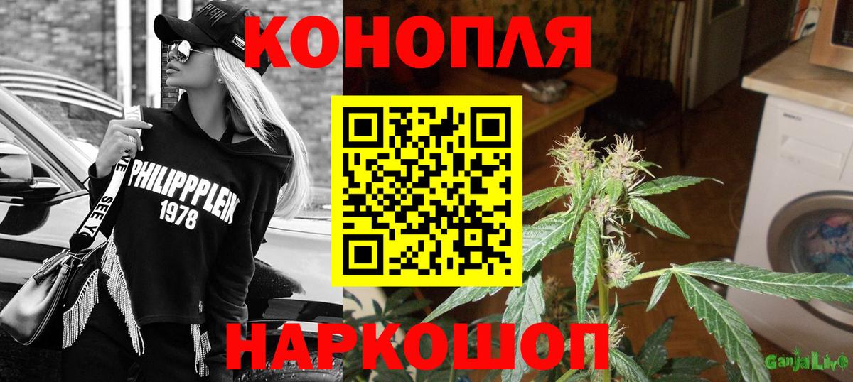 Шишки марихуана план  Канабис марихуана  Вход с VPN  Каннабис планчик  Бирск 